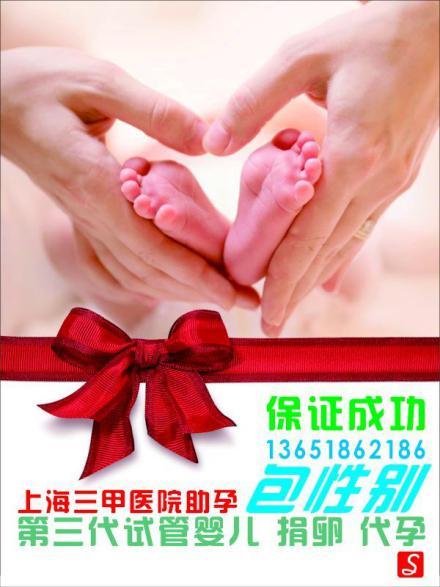 广州试管供卵平台【广州试管供卵平台:助您圆梦生育】