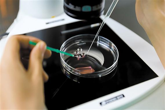 广州三代供卵试管儿子【广州三代供卵试管儿子的成长故事】