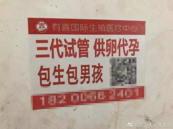 广州供卵三代包男孩(广州供卵三代包男孩的新选择)