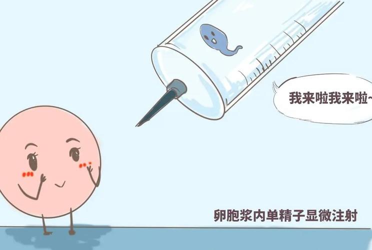 代生男孩需要多少费用_代生男孩费用查询