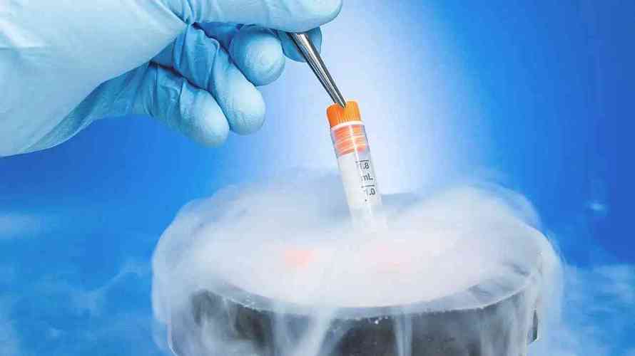 广州供卵试管哪家好_广州供卵试管哪家好？选择最佳医院攻略