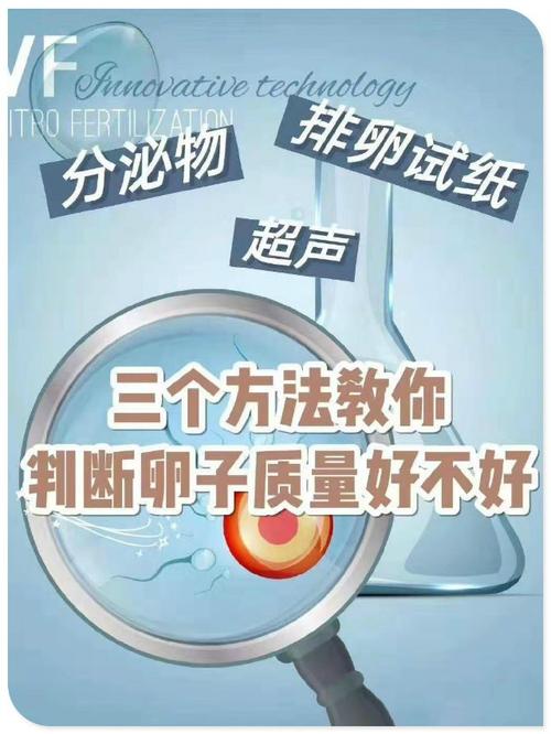 广州三代供卵试管哪家好(广州三代供卵试管哪家好?)