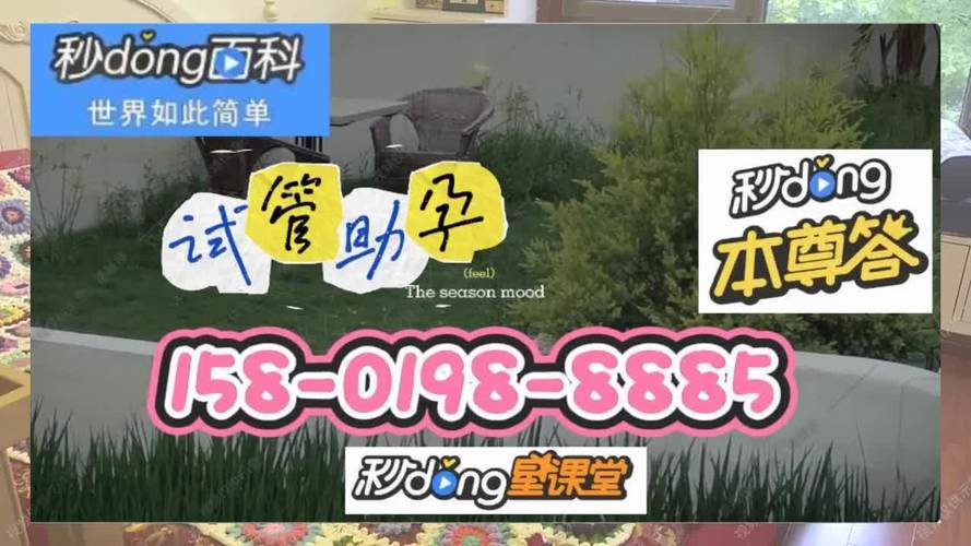 广州供卵试管孩子中介(广州供卵试管孩子中介服务平台)