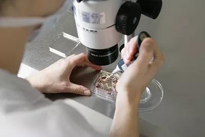 广州试管选男孩_广州试管选男孩:科技助力实现家庭期待