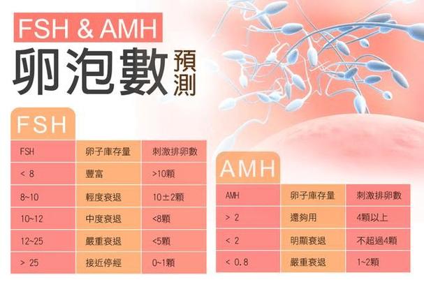 广州试管供卵费用_广州试管供卵费用一览