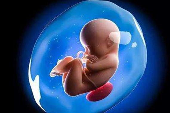 广州三代供卵试管孩子多少钱-广州三代供卵试管孩子费用查询