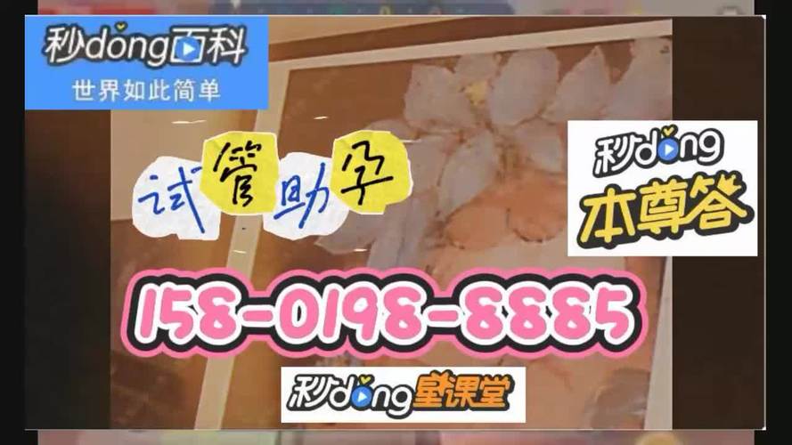 广州供卵试管孩子价格(广州供卵试管孩子价格一览)