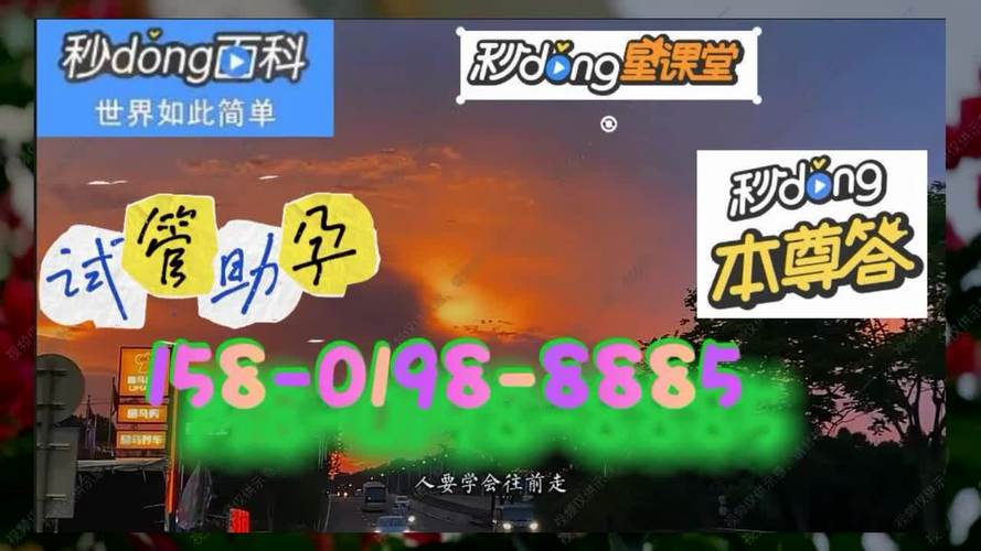 广州试管供卵价格表【广州试管供卵价格表大揭秘】