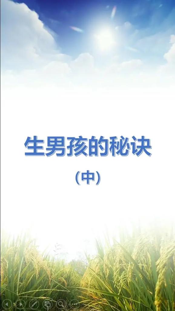 代生男孩【代生男孩:新生命的期待】