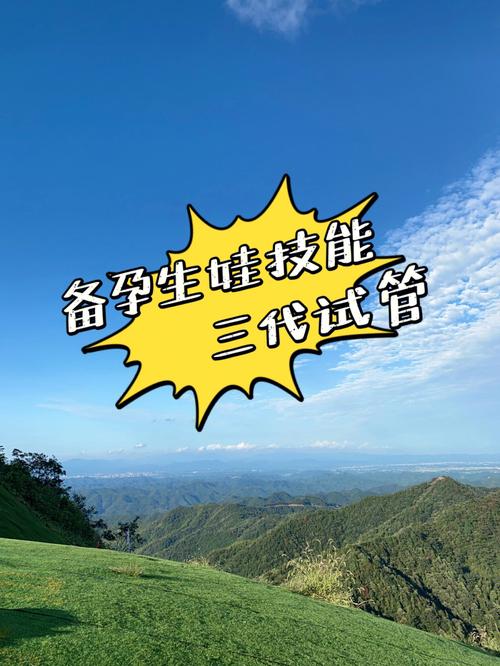 代生孩子合法公司(合法代生孩子公司:孕育新生命的选择)