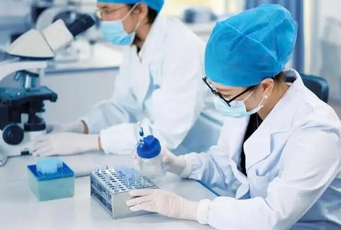 代生男孩子公司多少费用-代生男孩子公司费用查询